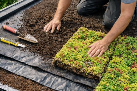 Man legt groen dak aan met planten